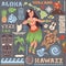 Vector Retro set of Hawaiian icons and symbols