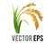 Vector rice plant icon, represent wheat, corn, oats, sorghum, crops, field,  harvests and farming