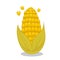 Vector Ripe corn on the cob. Cartoon illustration