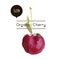 Vector ripe fresh nature cherry