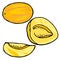 Vector ripe fruit pepino, half of pepino, tropic fruits clip art