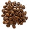 Vector Roasted Coffee Beans