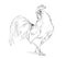 Vector Rooster black and white