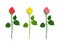 Vector rose buds. Unopened red, yellow and pink flower with green stems and leaves isolated