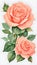 Vector Rose with Exquisite Watercolour Detail Generative AI