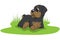 Vector rottweiler puppy