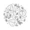 Vector round composition of outline Linden or Tilia or Basswood flower bunch, bract, fruit and ornate leaf in black isolated.