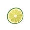 Vector round juicy slice of lime