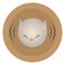 Vector round orange icon icon head of a gray white mournful painted cat with lines of sound vibration isolated on a white backgrou