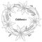 Vector round wreath with outline Edelweiss or Leontopodium alpinum flower isolated on white. Symbol of Alp Mountains.