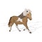 Vector running horse, brown pony