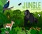 Vector Rwanda jungle rainforest with Ross`s turaco, gazelle impala, python, male gorilla and butterflies