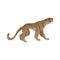 Vector saber-toothed tiger with big fans icon