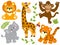 Vector Safari Animals