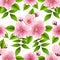 Vector sakura flower seamless pattern element. Elegant cherry blossom texture for backgrounds.