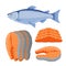 Vector salmon seafood. Fresh fish, orange fillet
