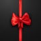 Vector Scarlet Bow on Black Background