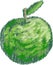 Vector scribble drawing of abstract single green apple