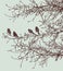 Vector scribble drawing of silhouettes birds on tree branches in spring forest