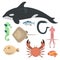 Vector sea animals creatures characters cartoon ocean underwater aquarium life water graphic aquatic tropical beasts