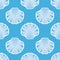 Vector sea shell seamless background