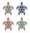 Vector sea turtle colorful icons