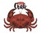 Vector seafood illustration. Crab retro lillustration. Hand drawing sketch omar. Can be use for restaurant menu, kitchen