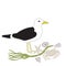 Vector Seagull, Seaweed, Sea Shells, Star Fish, Crab Illustration