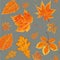 Vector Seamless Autumn fall season patten background floral watercolor style with colorful falling orange yellow leaves of fores