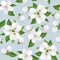 Vector Seamless background with apple blossoms.