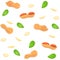 Vector seamless background peanut nut. A pattern of shelled peanuts nuts in shell and , leaves.