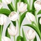 vector seamless background with white tulips.