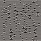 Vector Seamless Black and White Irregular Horizontal Braid Lines Pattern