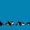 Vector seamless border of graphical killer whale swimming on blue background. Marine background