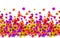 Vector seamless border with hand drawing flowers, multicolor bright artistic botanical illustration, isolated floral