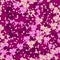 Vector seamless cherry blossom background