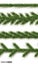 Vector seamless Christmas tree background. Fir branch horizontal seamless pattern.