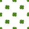 Vector seamless clover pattern. Clover