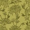 Vector seamless floral pattern with herbarium