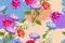 Vector seamless floral pattern with realistic flowers aster, zinnia, dahlia, on a multicolored summer background, bright feminine