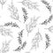 Vector seamless outline leaves pattern. Black and white background. Nature illustration