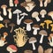 Vector Seamless Patern with Edible, Poisonous Inedible Mushrooms. Hand Drawn Cartoon Mushrooms. Different Mushrooms on