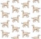 Vector seamless pattern of Afghan hound dog