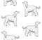 Vector seamless pattern of Afghan hound dog