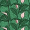 Vector seamless pattern with anthurium flowers