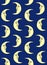 Vector seamless pattern of astrological moon