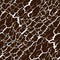 Vector seamless pattern of bark texture. Wood natural structure