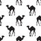 Vector seamless pattern with black camel silhouettes on white background