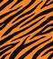 Vector seamless pattern of black tiger print