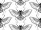 Vector seamless pattern with black and white hand drawn stylized beetle